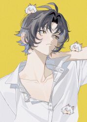 asaba harumasa from zenless zone zero