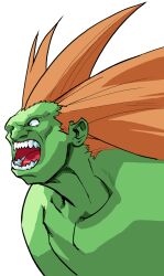blanka from street fighter by bengus