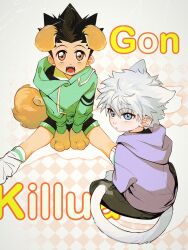 gon freecss from hunter x hunter