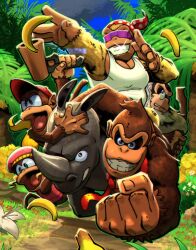 cranky kong from donkey kong (series)