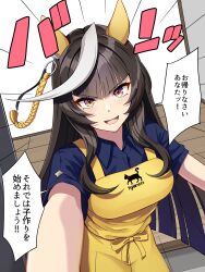 calstone light o (umamusume) from umamusume