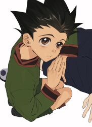 gon freecss from hunter x hunter