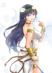 lucina (fire emblem) from fire emblem