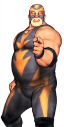 raiden (snk) from capcom vs snk by mori toshiaki