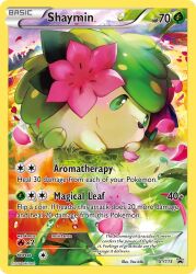 shaymin from pokemon