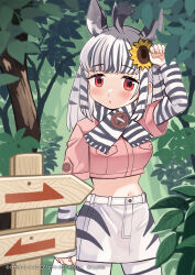 kemono friends fan art