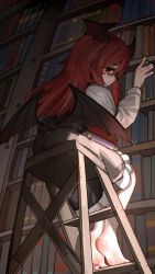 koakuma from touhou