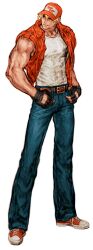 terry bogard from capcom vs snk by nishimura kinu