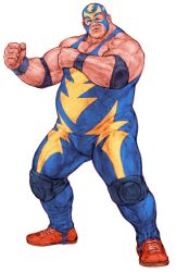 raiden (snk) from capcom vs snk by nishimura kinu