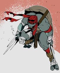 raphael from teenage mutant ninja turtles by bakushi (smys2017)