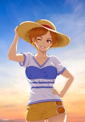 nami (one piece) from one piece