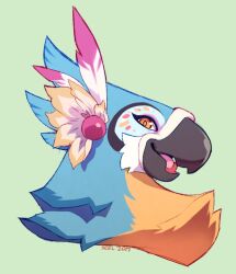 kass from the legend of zelda by seel (seelmaru)