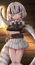kemono friends fan art