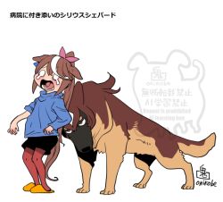 symboli rudolf (umamusume) from umamusume by onikobe rin