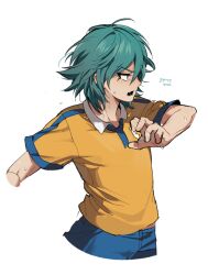 kariya masaki from inazuma eleven (series)