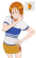 nami (one piece) from one piece
