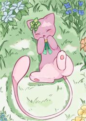 mew from pokemon