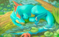 barboach from pokemon