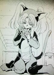 hoshino ruri from kidou senkan nadesico by suzuki masahisa