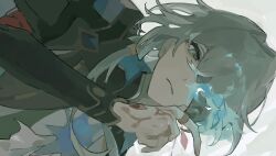 anaxa (honkai: star rail) from honkai: star rail
