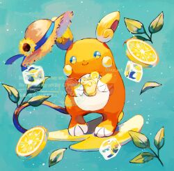 alolan raichu from pokemon