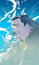 crocodile (one piece) from one piece