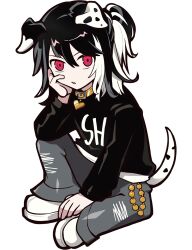 crazy raccoon fan art