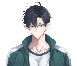 sung jin-woo from solo leveling