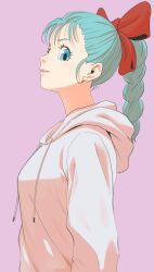 bulma from dragon ball by horang4628