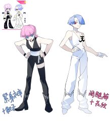 polyester (psg) from panty & stocking with garterbelt