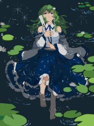 kochiya sanae from touhou