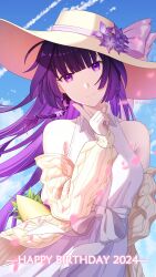 raiden mei from honkai (series)