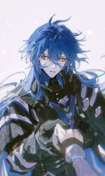 flins (genshin impact) from genshin impact