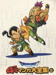 hassan (dq6) from dragon quest