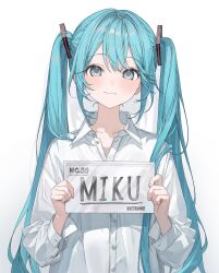 hatsune miku from vocaloid