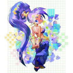 shantae fan art