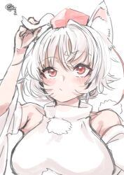 inubashiri momiji from touhou