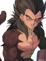 vegeta from dragon ball