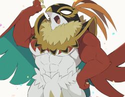 hawlucha from pokemon