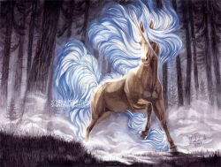 rapidash from pokemon by shadeofshinon