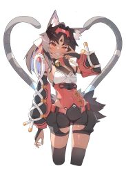 nekomiya mana from zenless zone zero