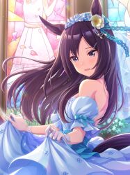 mejiro dober (umamusume) from umamusume