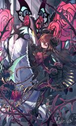 starling (p&d) from puzzle & dragons