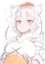 inubashiri momiji from touhou