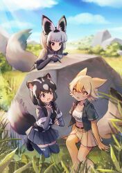 bat-eared fox (kemono friends) from kemono friends