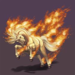 rapidash from pokemon by shadeofshinon