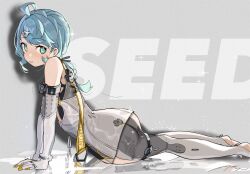 seed (zenless zone zero) from zenless zone zero