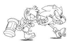 amy rose from sonic (series) by evan stanley