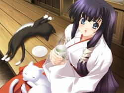munakata aoi from oshiete miko sensei by goma satoshi