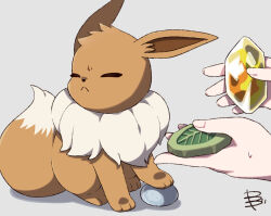 eevee from pokemon by yamada sakura
